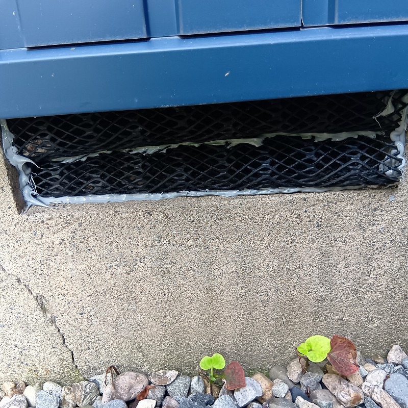 除菌・殺虫剤を散布する様子