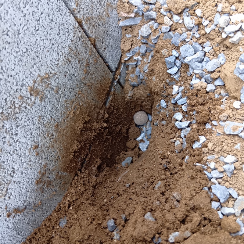 モグラ駆除の施工事例（茨城県鹿嶋市緑ヶ丘）