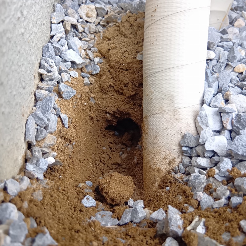 基礎付近に忌避剤を設置した様子