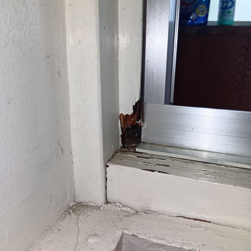 ネズミ駆除の施工事例（東京都八王子市大楽寺町）