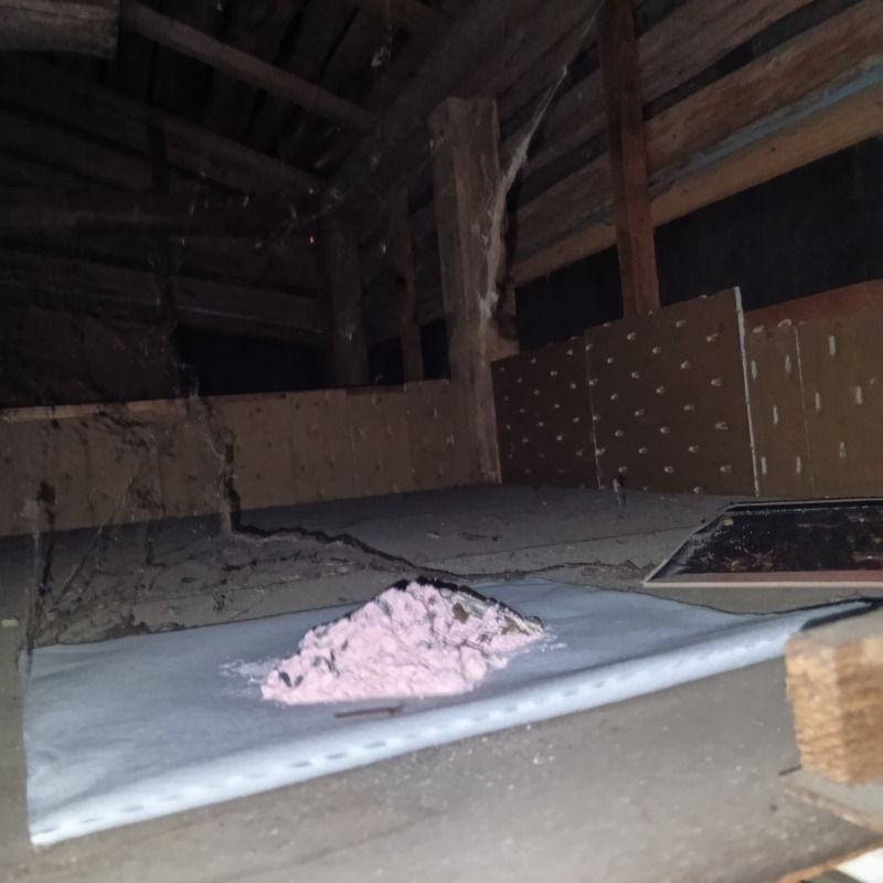 殺鼠剤を設置した様子