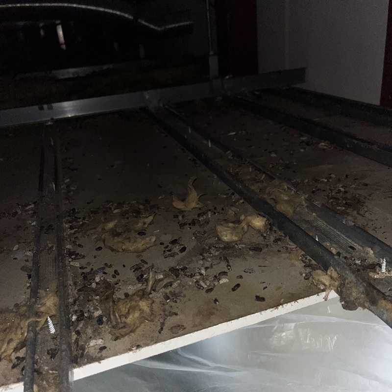 ネズミ駆除の施工事例（埼玉県草加市）