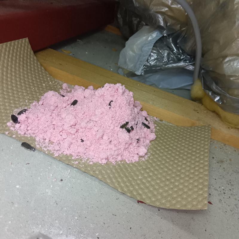 殺鼠剤設置の様子