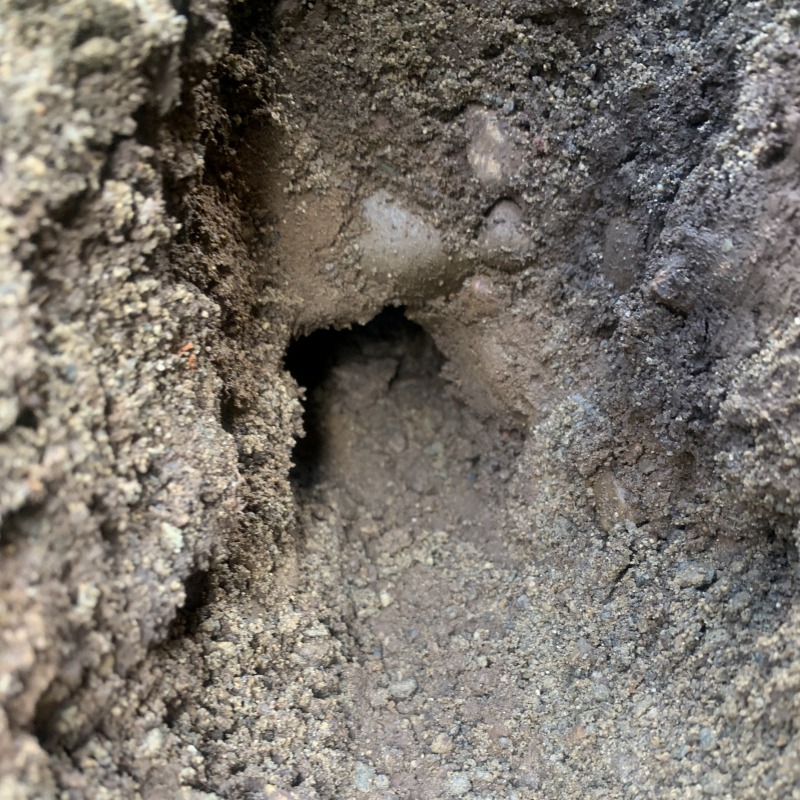 モグラ駆除の施工事例（岐阜県関市肥田瀬）