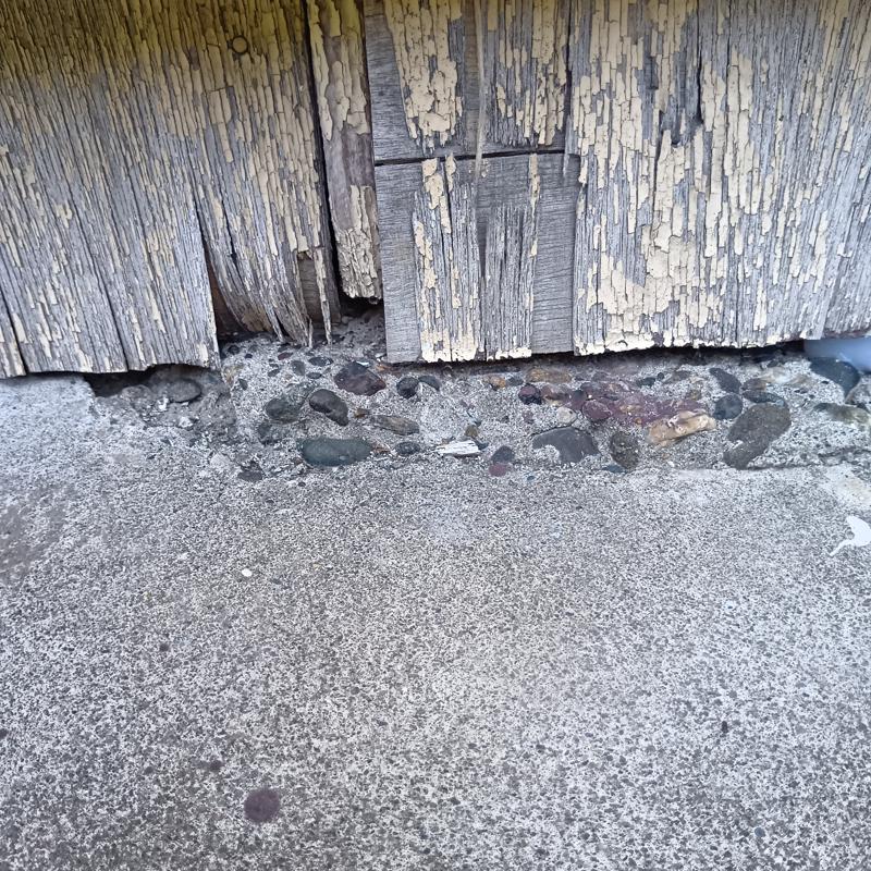 ネズミ駆除の施工事例（神奈川県横須賀市舟倉）