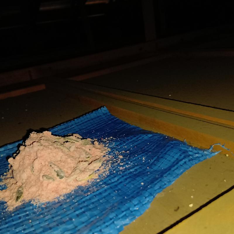 設置した殺鼠剤