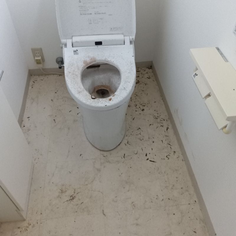 ネズミ駆除の施工事例（愛知県名古屋市中区）