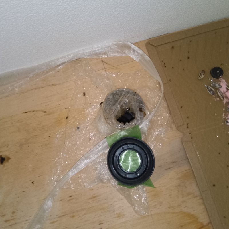 殺鼠剤と粘着シートを設置