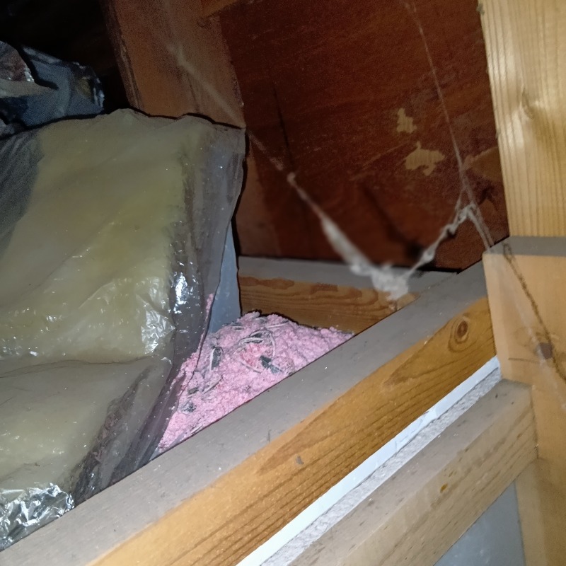 屋根裏に殺鼠剤を設置した様子