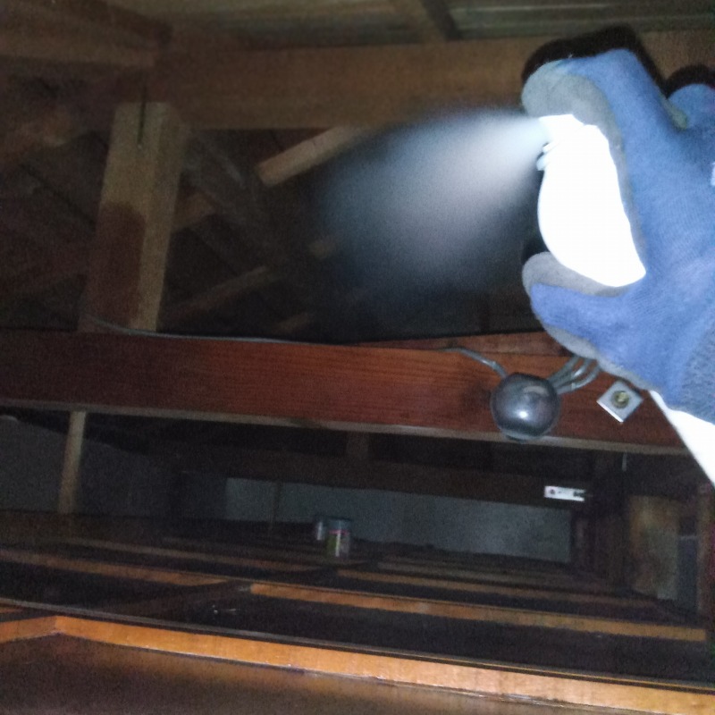 アライグマ駆除の施工事例（神奈川県横浜市南区中里）