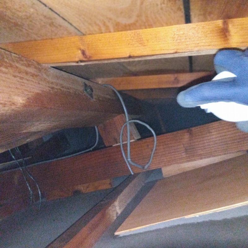 屋根裏に忌避剤を散布する様子