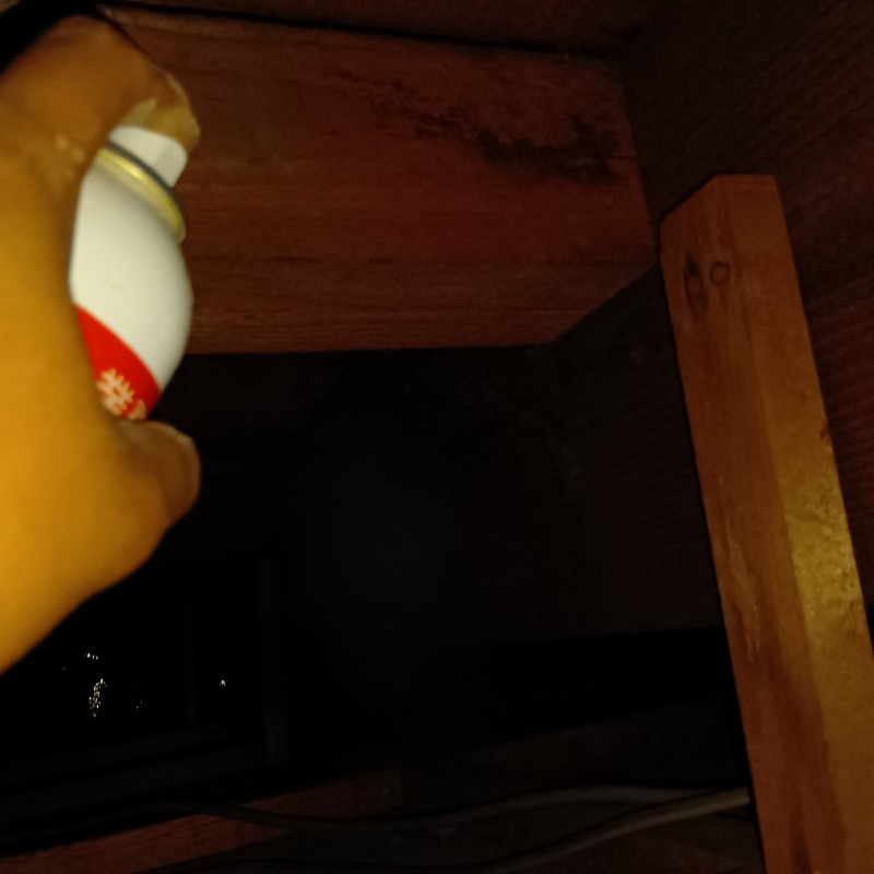 天井裏に忌避剤を散布