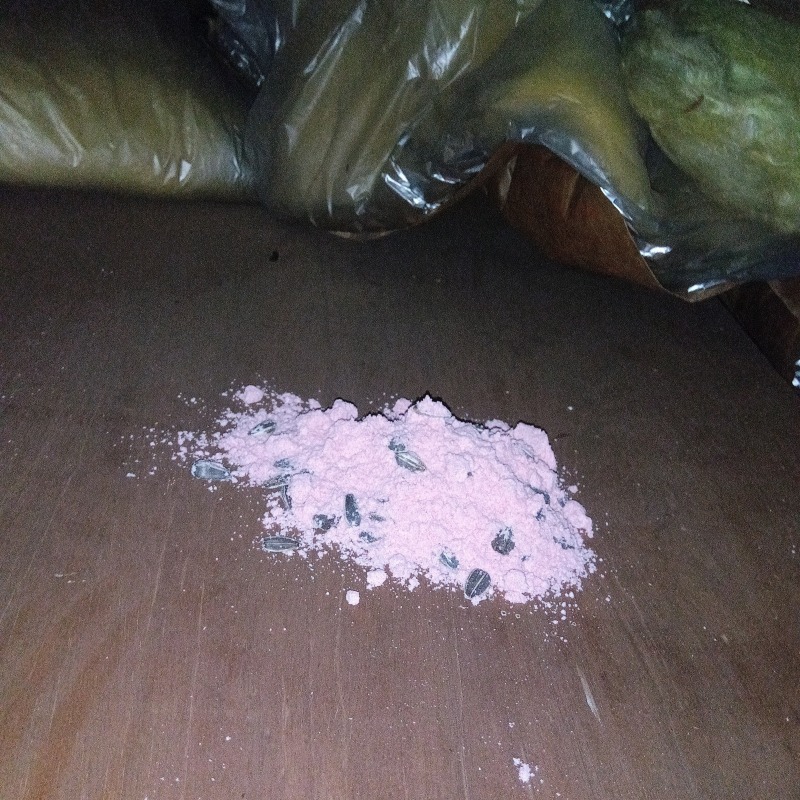 屋根裏に殺鼠剤を設置