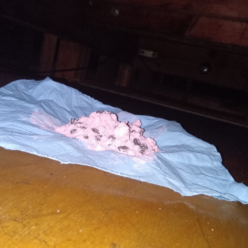 屋根裏に殺鼠剤を設置