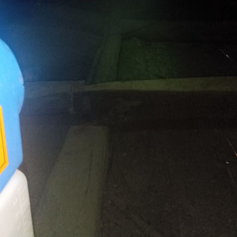 屋根裏に除菌・殺虫剤を散布