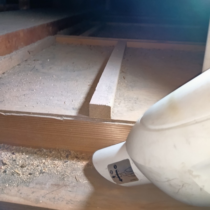 ネズミ駆除の施工事例（鹿児島県鹿児島市）