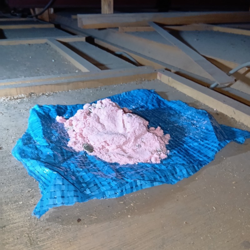 屋根裏に殺鼠剤を設置した様子