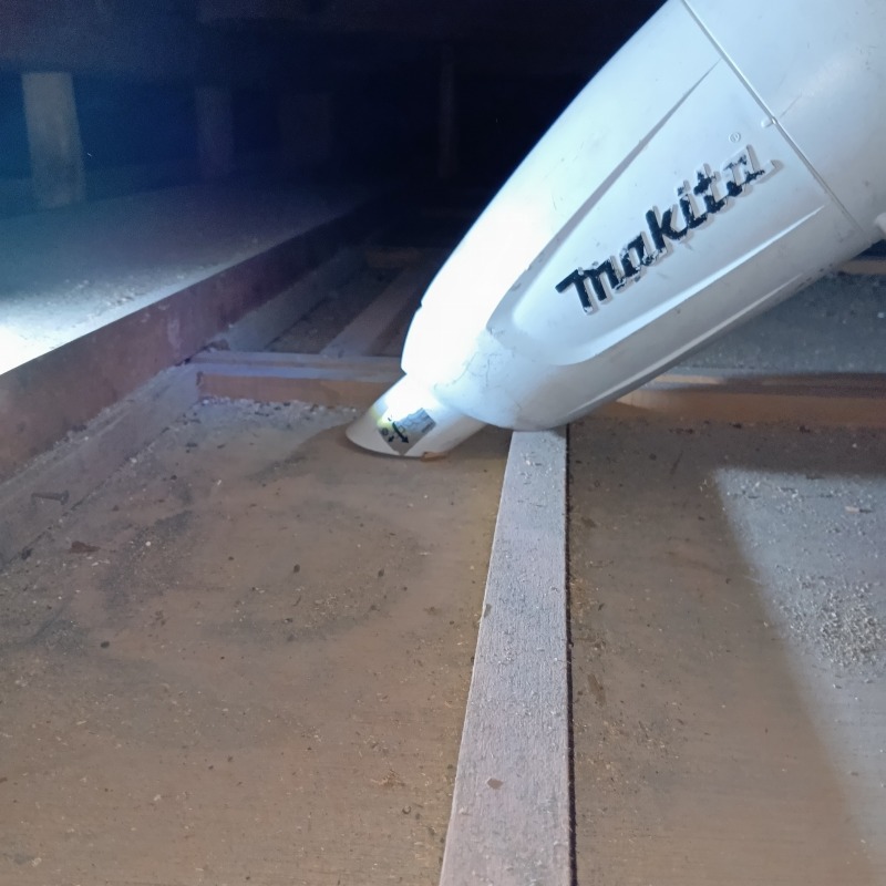 フン害清掃の様子