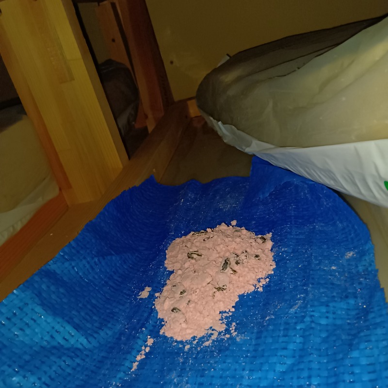 屋根裏に設置した殺鼠剤