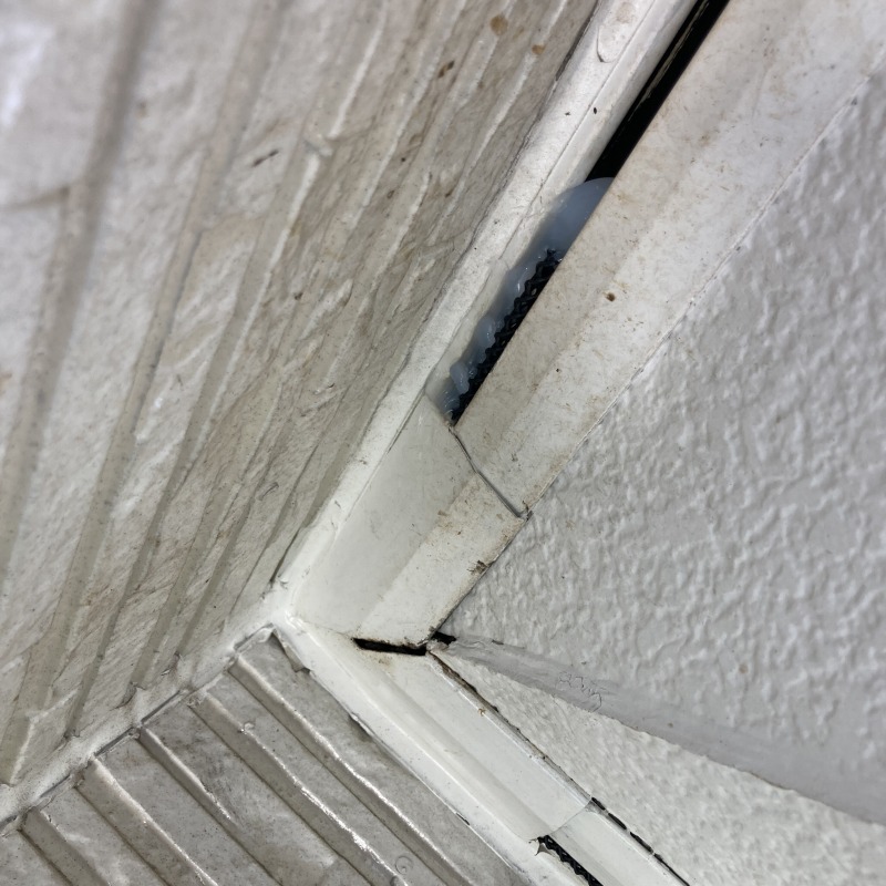 軒のすき間を封鎖した様子