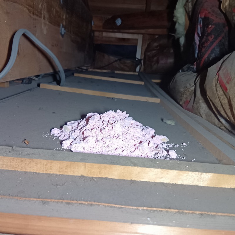 屋根裏に設置した殺鼠剤