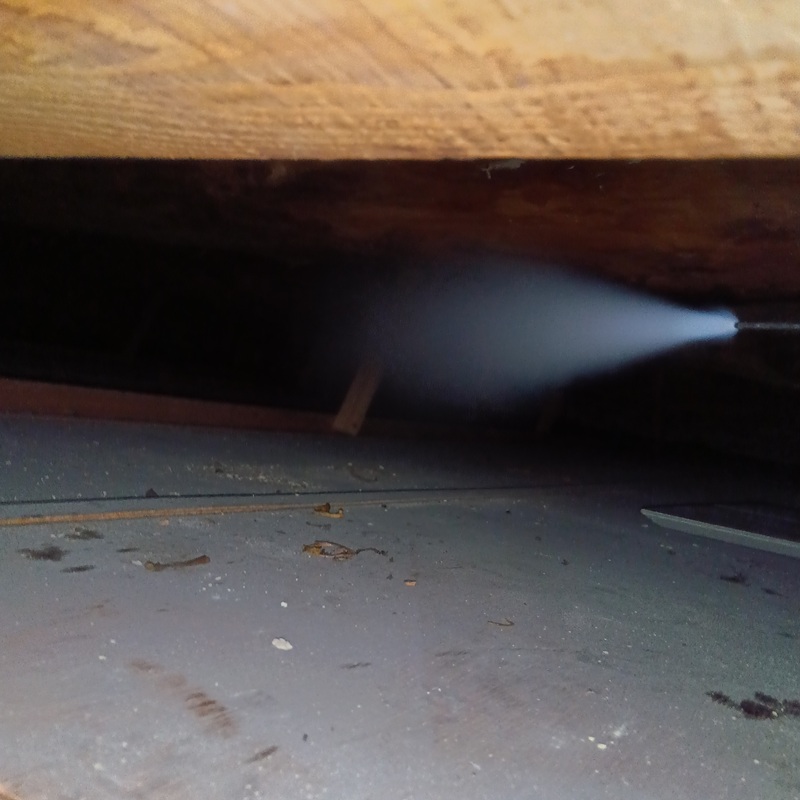 除菌・殺虫剤散布の様子