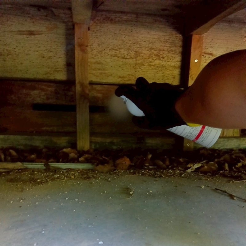 床下に忌避剤を散布する様子