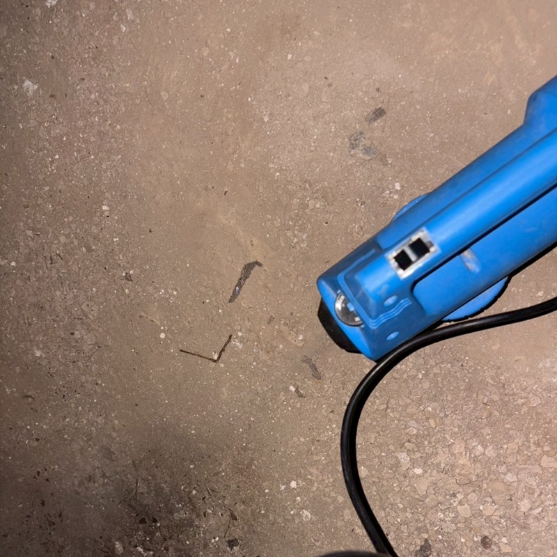 除菌・殺虫剤散布の様子