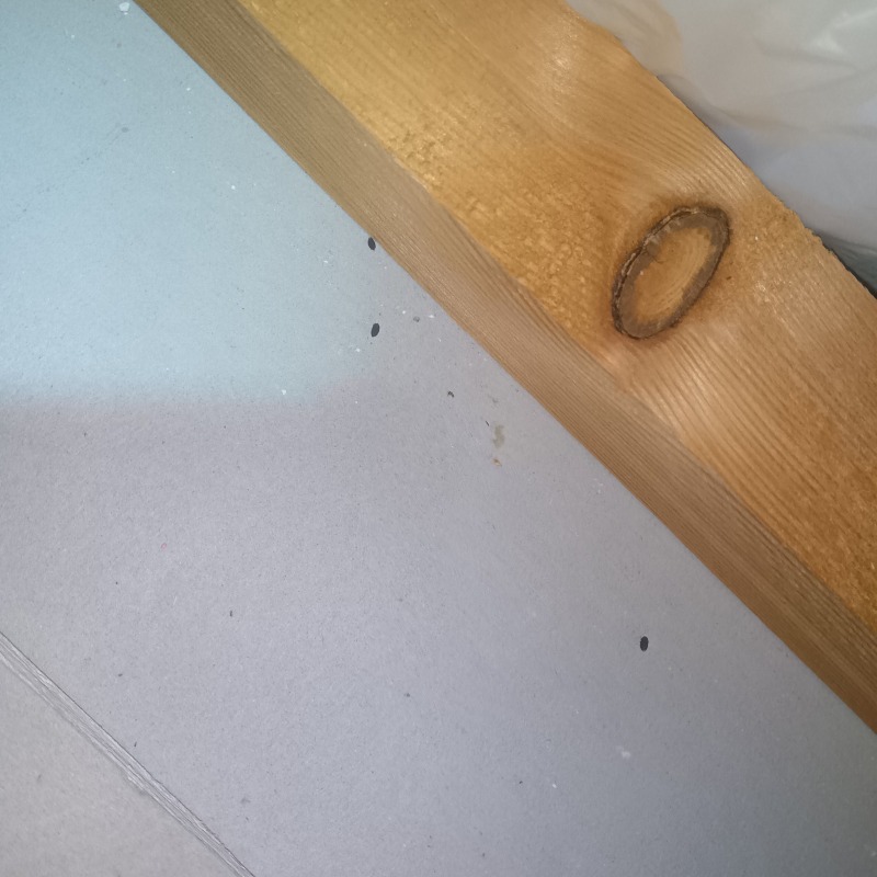 ネズミ駆除の施工事例（神奈川県鎌倉市十二所）