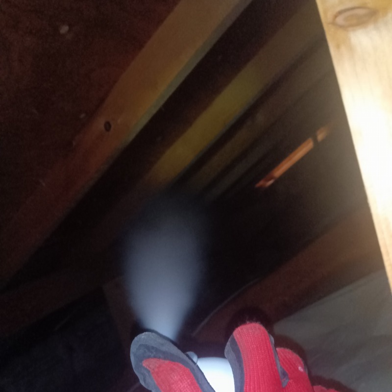 忌避剤散布の様子