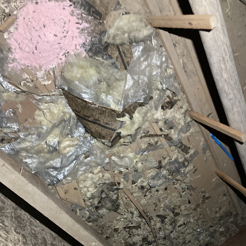 屋根裏に設置した殺鼠剤