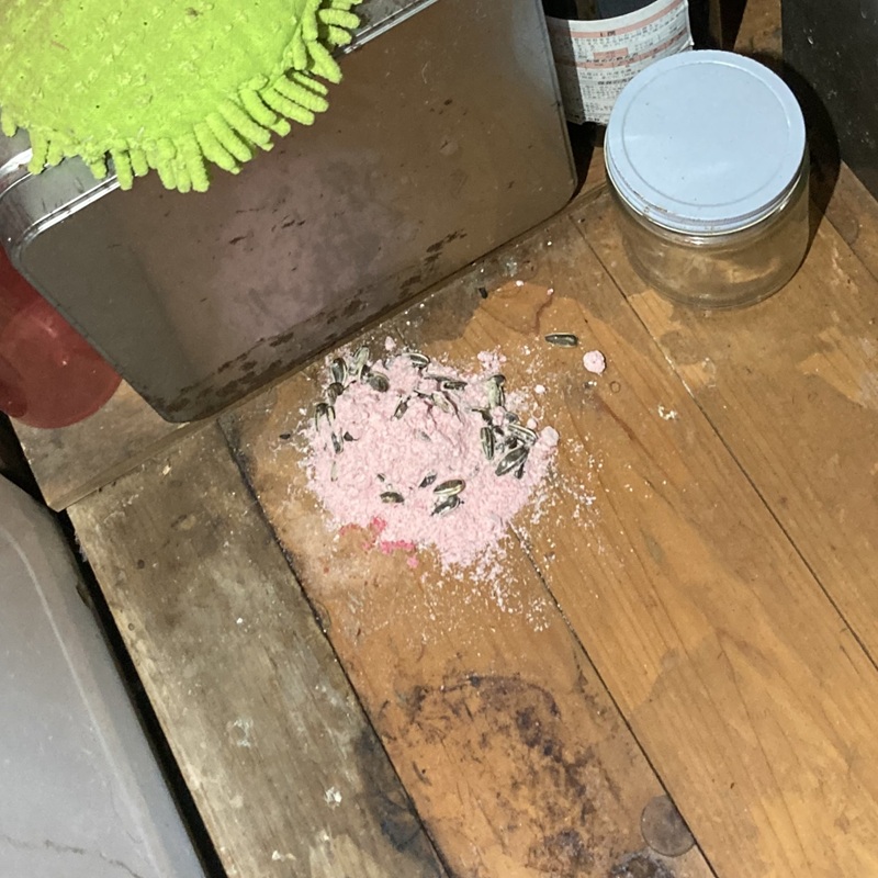 室内に設置した殺鼠剤