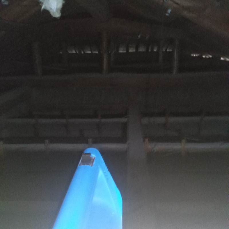 屋根裏に除菌・殺虫剤を散布