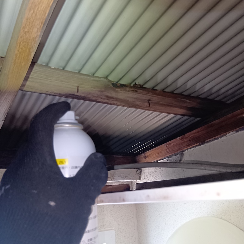 忌避剤を散布する様子