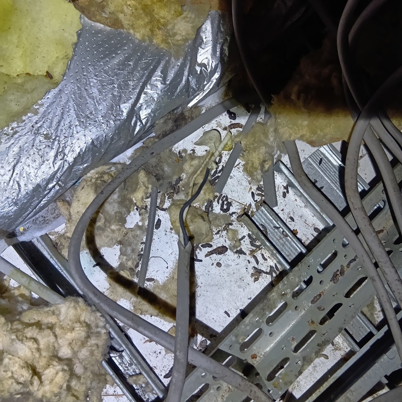 ネズミ駆除の施工事例（石川県金沢市）