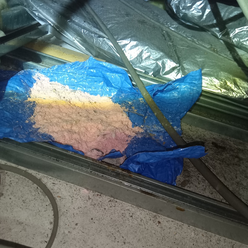 天井裏に設置した殺鼠剤