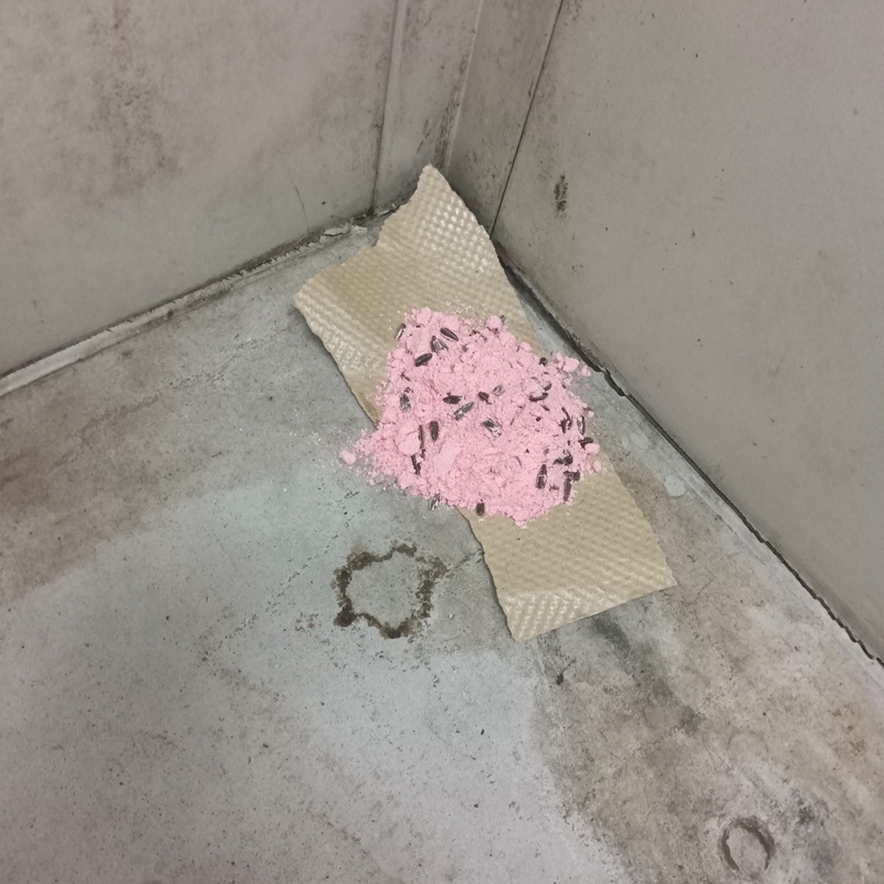 殺鼠剤を設置した様子