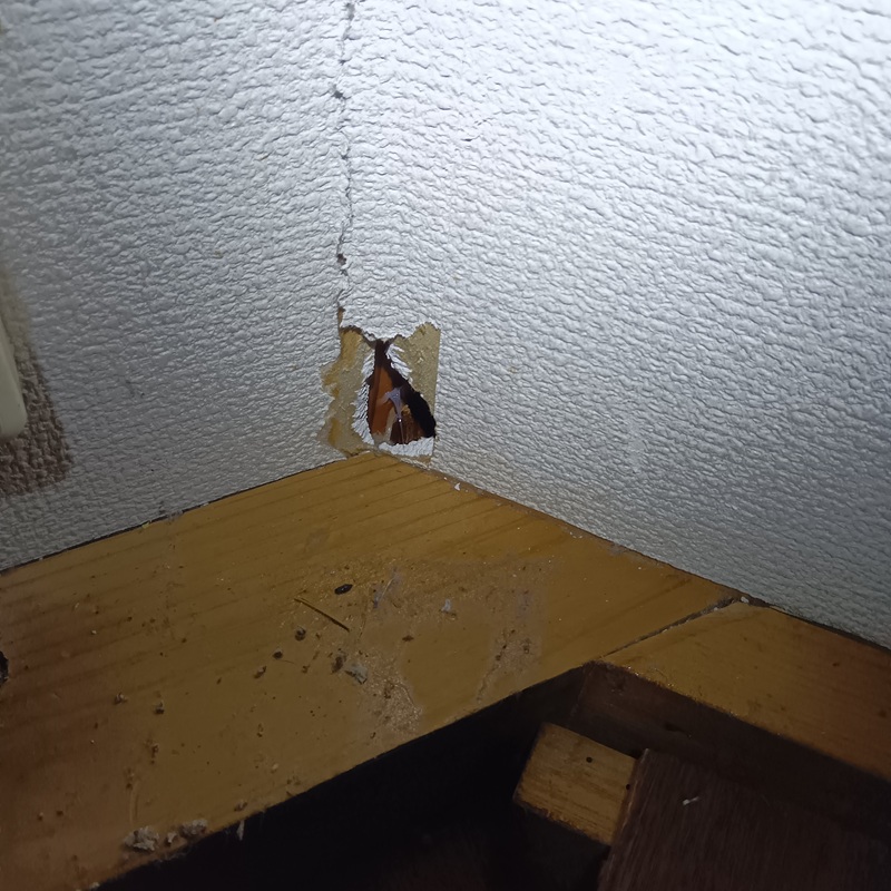 ネズミ駆除の施工事例（新潟県魚沼市横町）