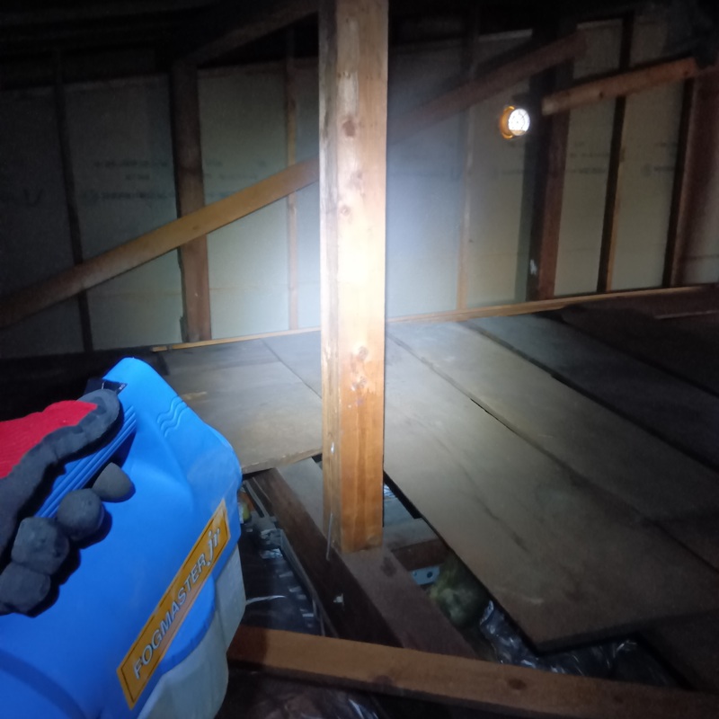 屋根裏に除菌・消臭剤を散布