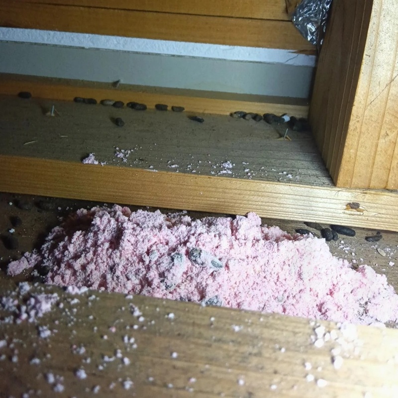 屋根裏の殺鼠剤