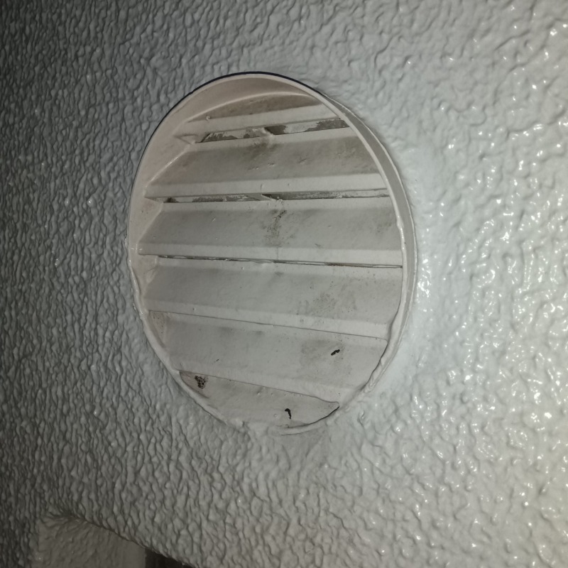 コウモリ駆除の施工事例（滋賀県草津市馬場町）