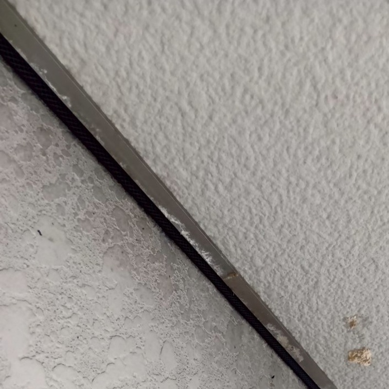 軒のすき間を封鎖