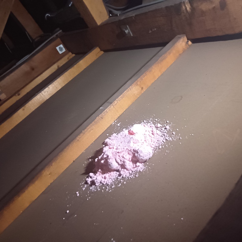 設置した殺鼠剤