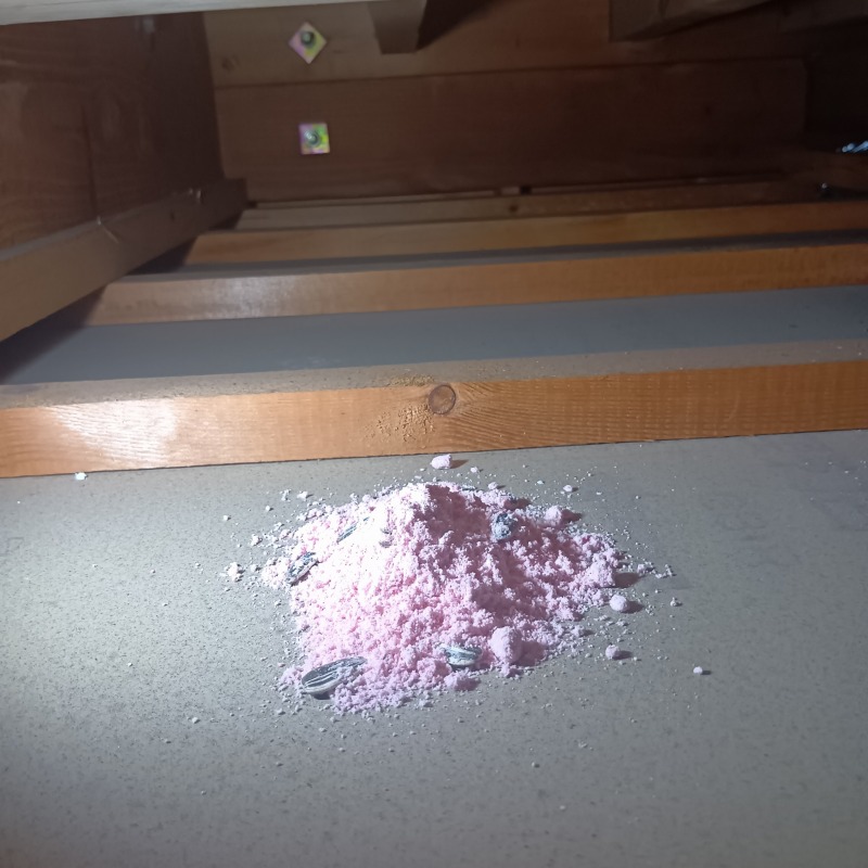 ネズミ駆除の施工事例（千葉県市川市真間）