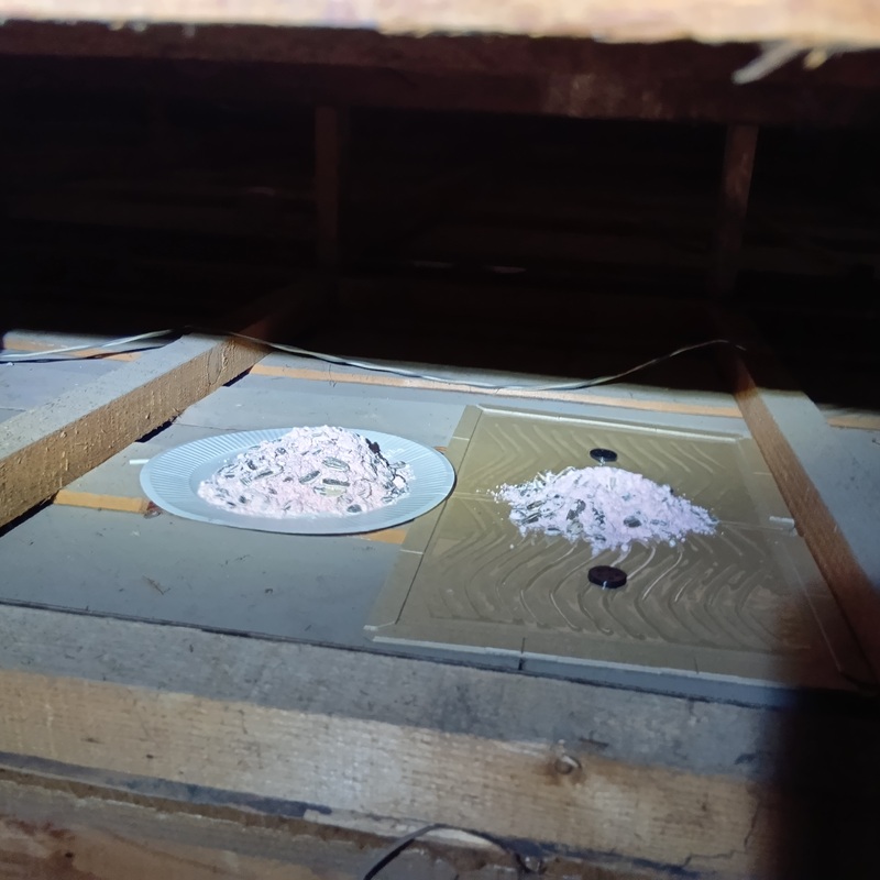 屋根裏に設置した殺鼠剤と粘着シート