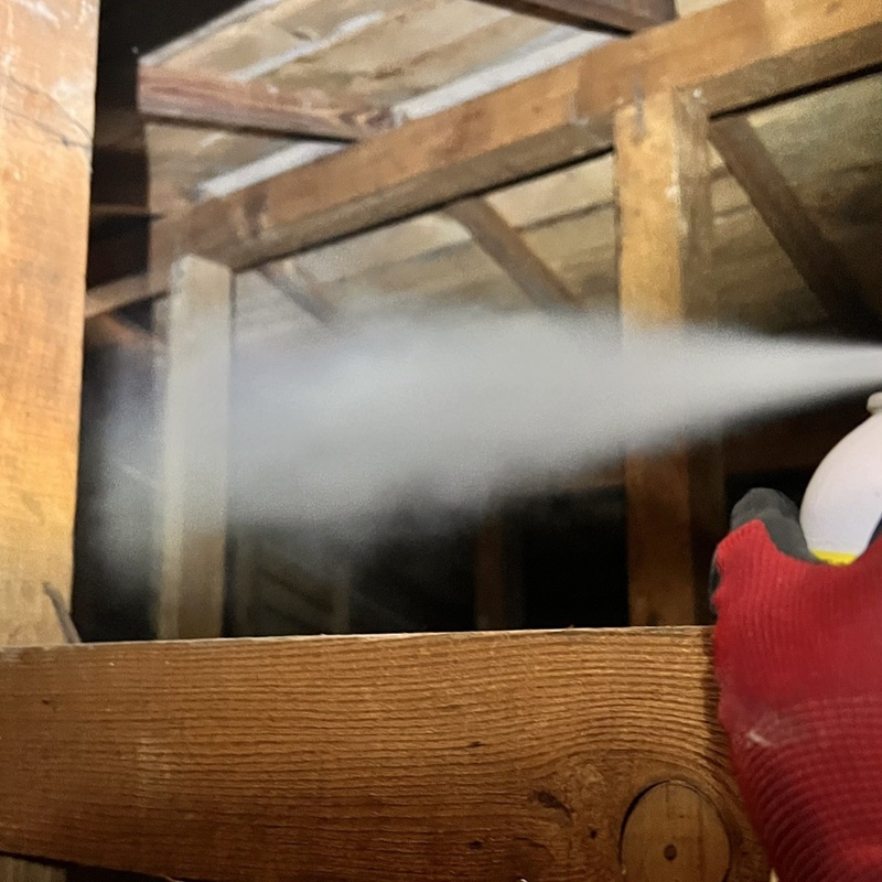 屋根裏に忌避剤を散布する様子