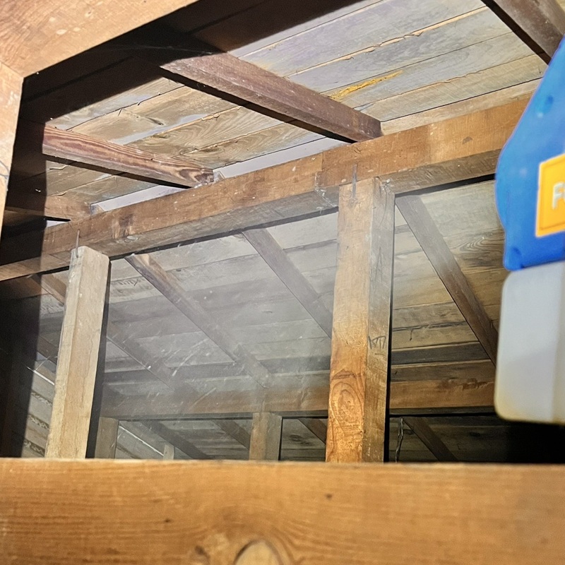 屋根裏に除菌・殺虫剤を散布する様子