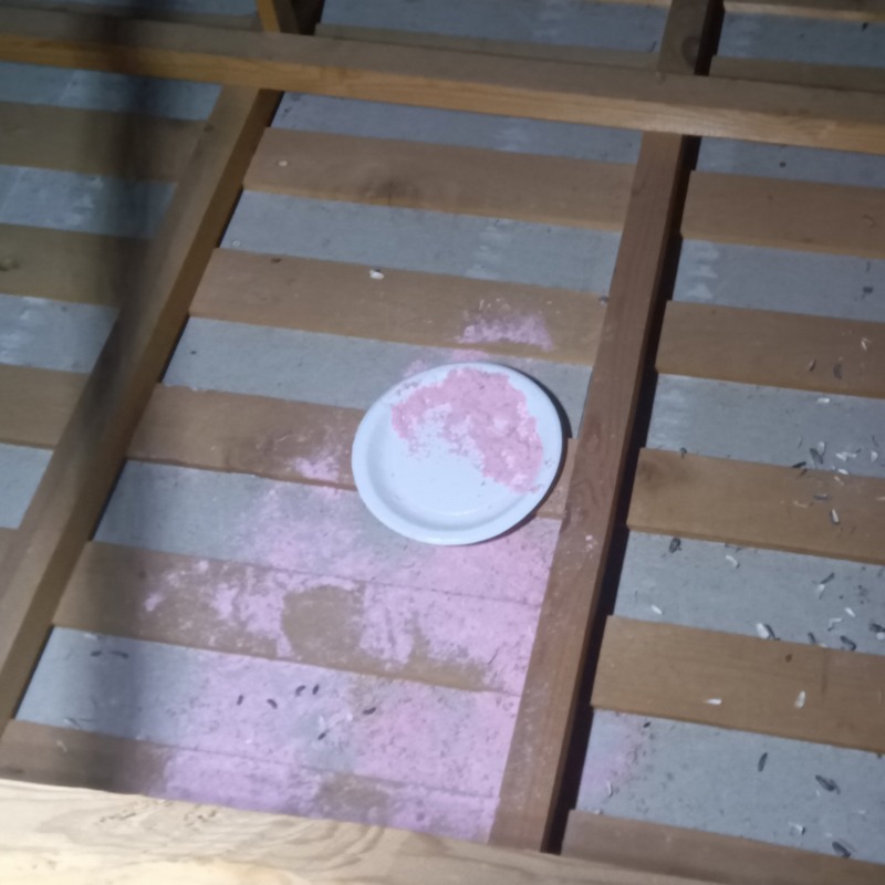 殺鼠剤が食べられた痕跡