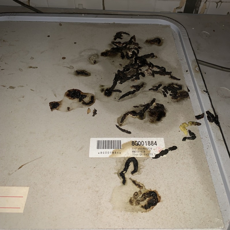 イタチ駆除の施工事例（愛知県名古屋市中川区大当郎）