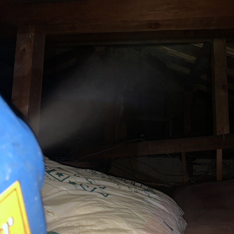 屋根裏に助勤・殺虫剤を散布